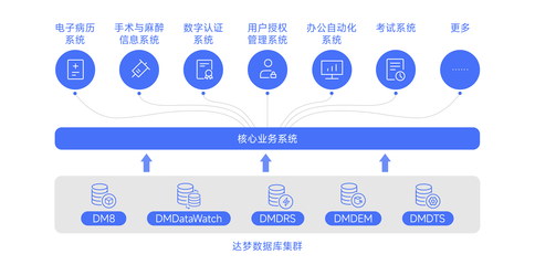 達(dá)夢(mèng)數(shù)據(jù)助力廈門(mén)大學(xué)附屬成功醫(yī)院核心業(yè)務(wù)系統(tǒng)信創(chuàng)改造 — 打造國(guó)產(chǎn)數(shù)據(jù)庫(kù)服務(wù)新模式